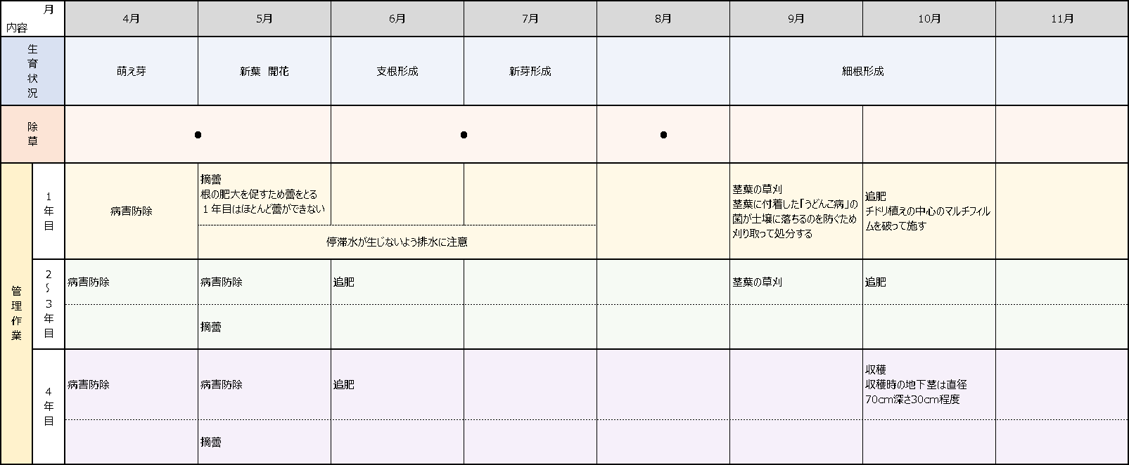 日本のシャクヤクの産地 富山県 当帰 芍薬 薬師製薬